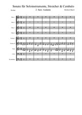 Sonate für Soloinstrumente, Streicher und Cembalo – Satz 2 Andante meditativo